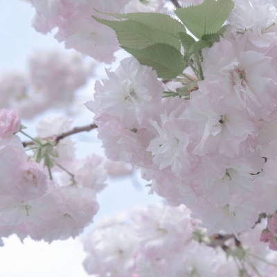 原创Furry角色设计思路兽圈社群